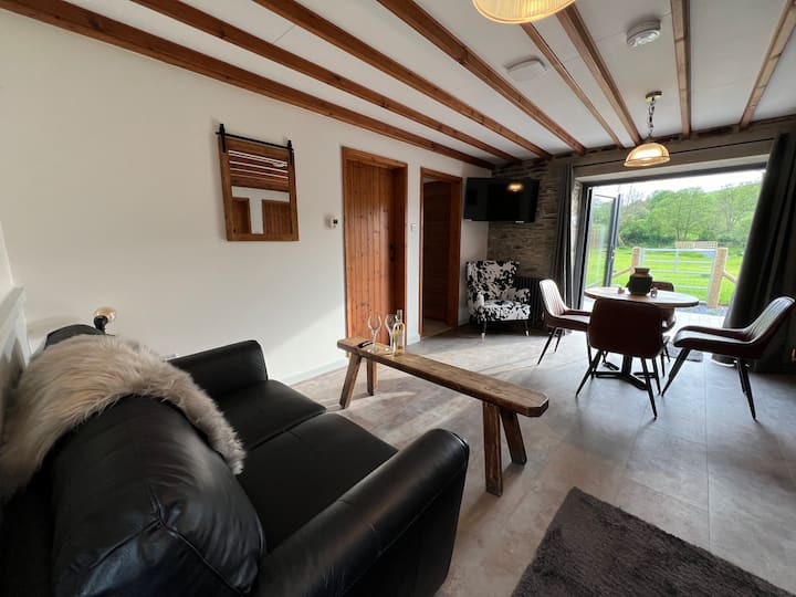 The Old Cow Sheds No.5 - Lampeter