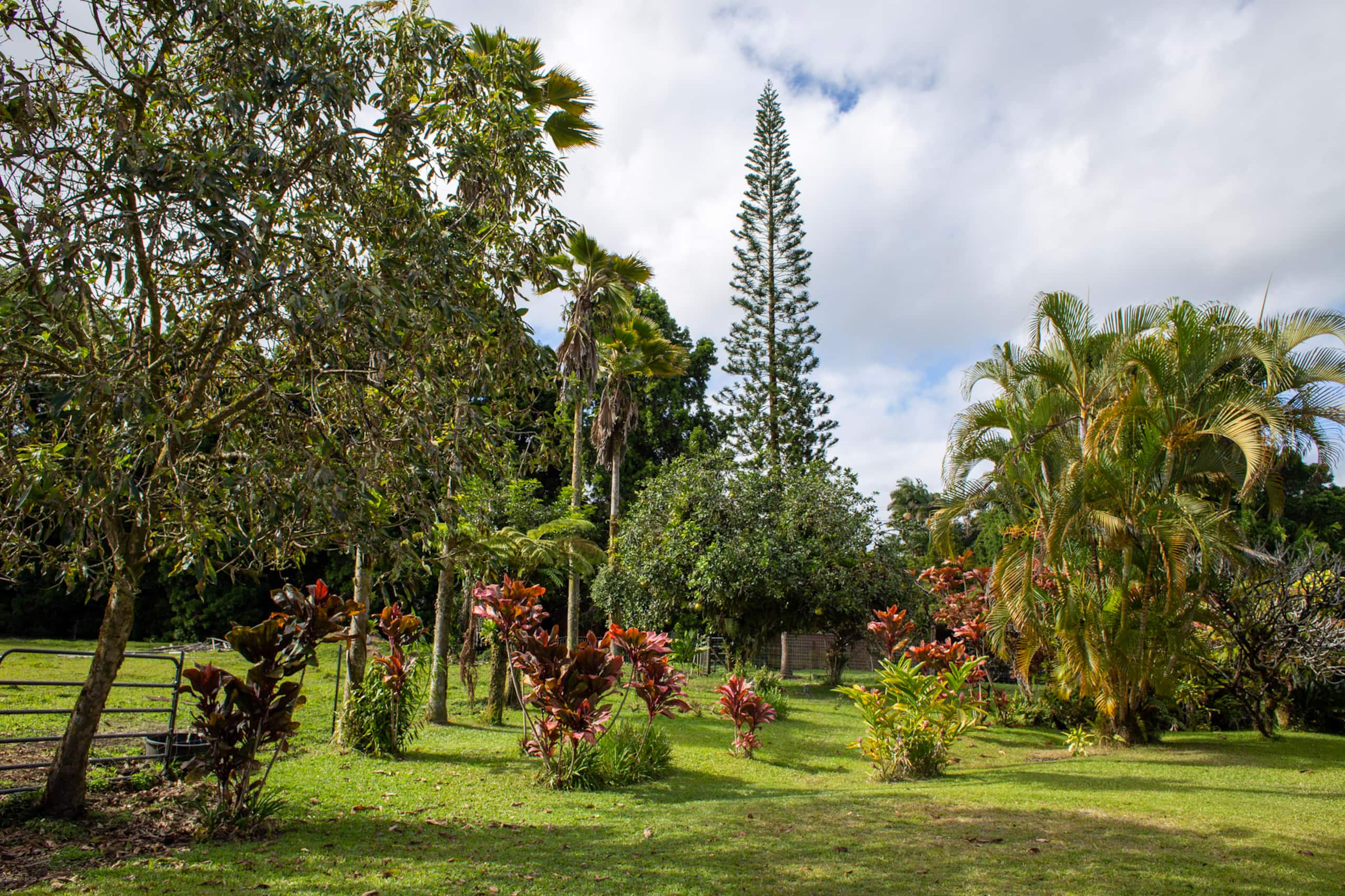 Guesthouse in Kurtistown · ★4.92 · 2 bedrooms · 3 beds · 1 private bath - Image 25