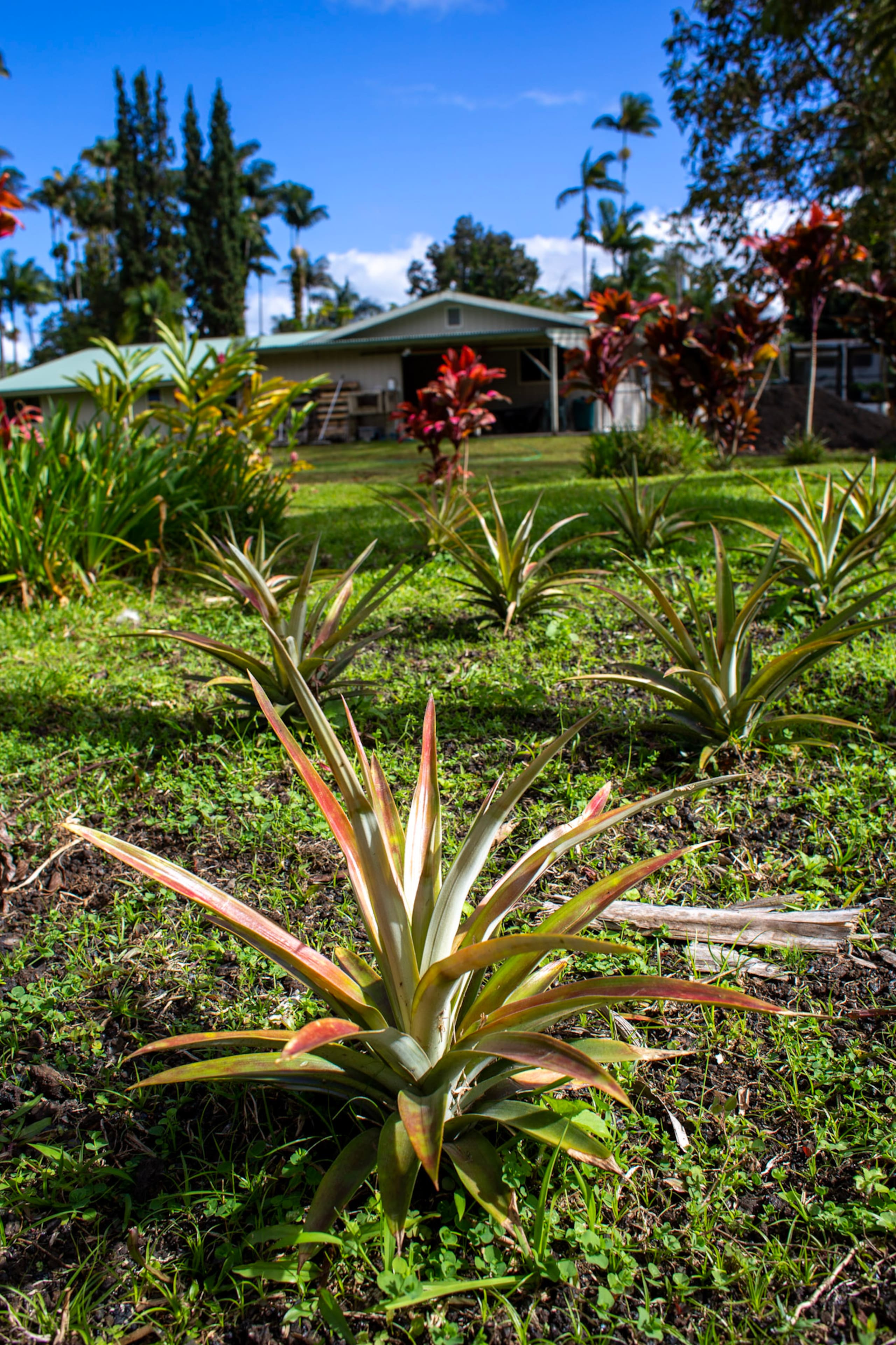 Guesthouse in Kurtistown · ★4.92 · 2 bedrooms · 3 beds · 1 private bath - Image 26