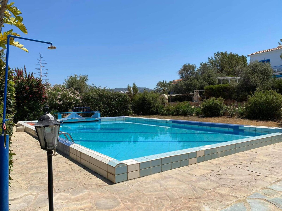 A private swimming pool is set within a landscaped outdoor area, featuring clear blue water. Surrounding vegetation includes mature shrubs and palm trees, providing natural greenery. A stone pathway leads to the pool area, accompanied by a classic lamppost nearby.