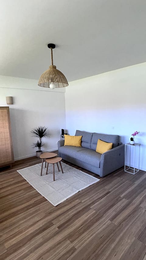 Successful Airbnb property: Mandelieu close to the beaches in Mandelieu La Napoule
