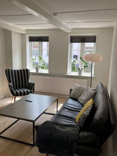 Charming townhouse in the middle of Assens