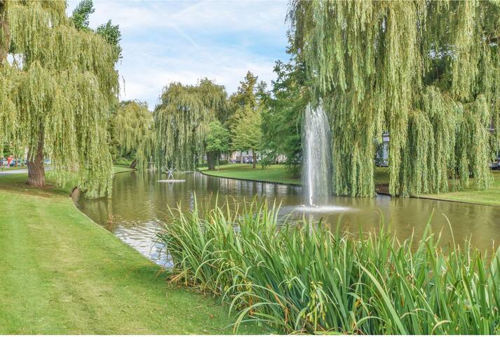 Herenhuis in het stadscentrum