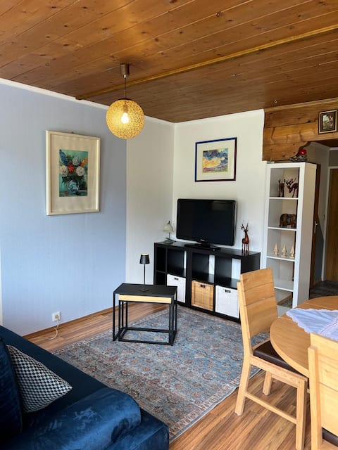 Top performing Airbnb: Enzian Apartment in Ehrwald