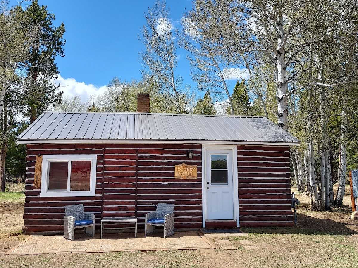 The cabin features a rustic log exterior with a metal roof, framed by aspen trees. Two outdoor chairs are positioned on a stone patio, inviting relaxation. The entrance is marked by a white door, complemented by a small light fixture above.