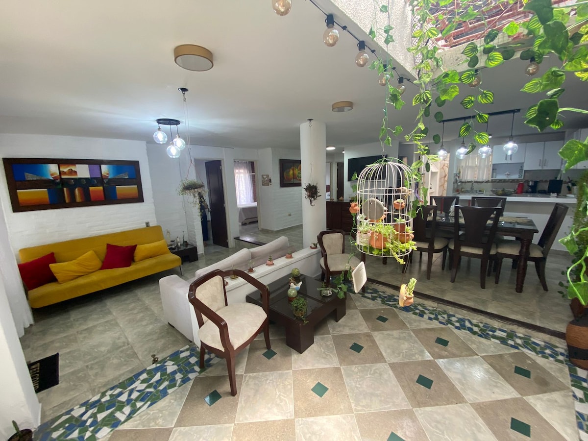An open living space showcases a bright yellow sofa and a set of wooden chairs surrounding a small coffee table. A dining area with table for six is visible in the background, alongside a kitchen area with white cabinetry. Natural light filters through greenery hanging above.