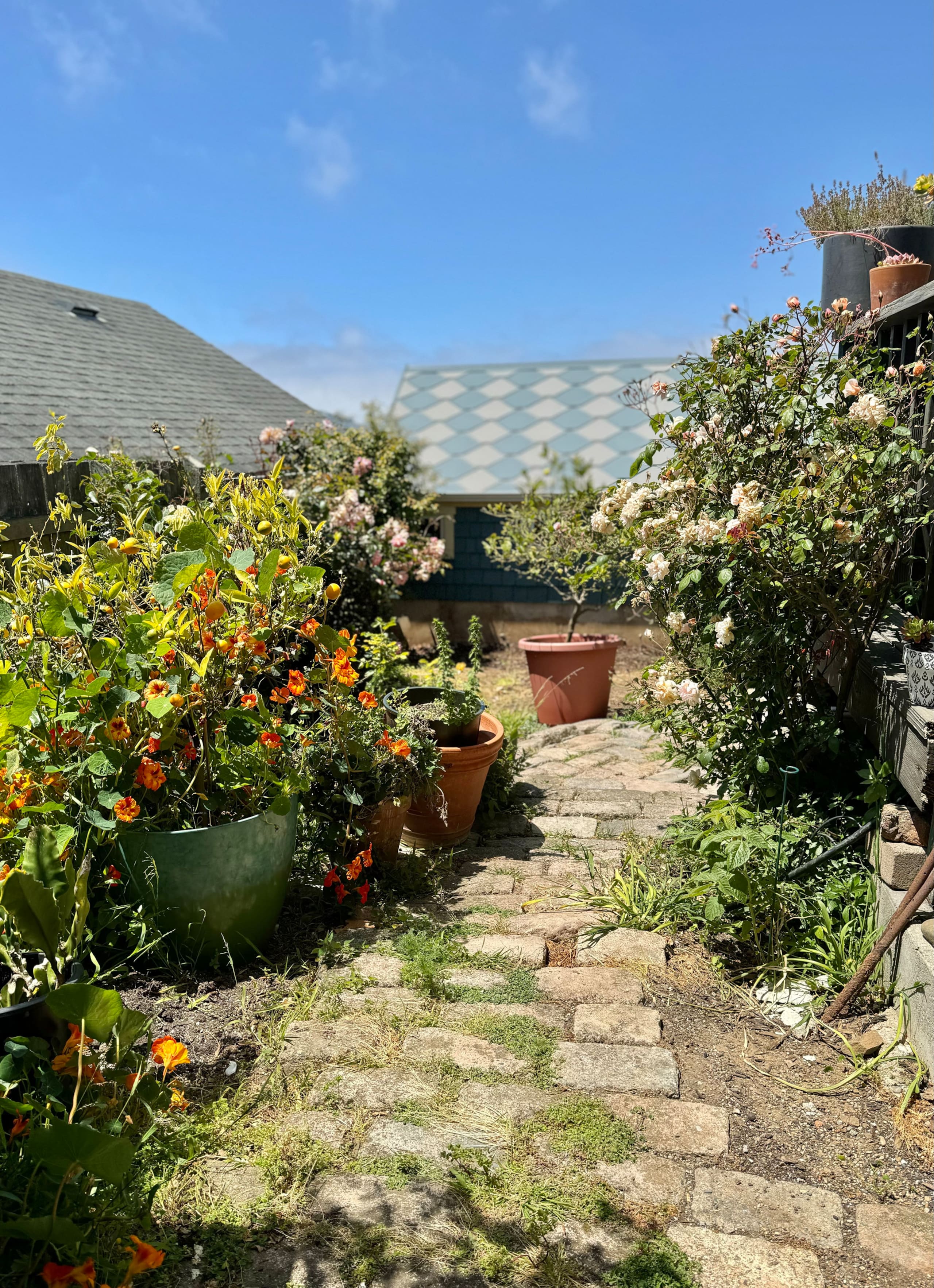 Home in San Francisco · ★4.96 · 1 bedroom · 1 bed · 1 bath - Image 14