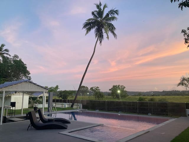 Romantic Bliss: Luxurious Honeymoon Retreat in Goa