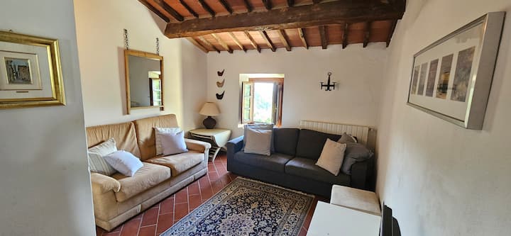 Secluded Tuscan Villa With Stunning Views - Pescia - Tuscany