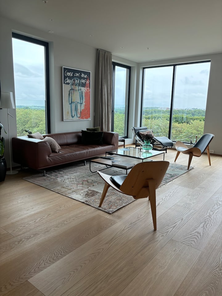 Illustration of Penthouse Apartment Fireplace Langbadsbakken In Norway