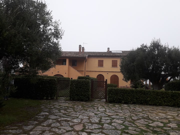 Immersa Nel Verde - Ancona