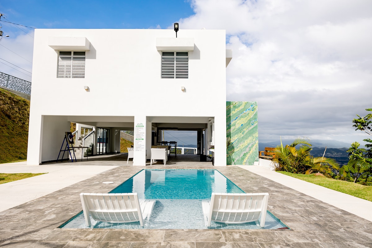 A modern house with a clean, white exterior overlooks a serene pool area. Two lounge chairs are positioned beside a tranquil, blue-tiled pool, set against a backdrop of lush greenery and a cloudy sky. Large windows invite natural light into the space.