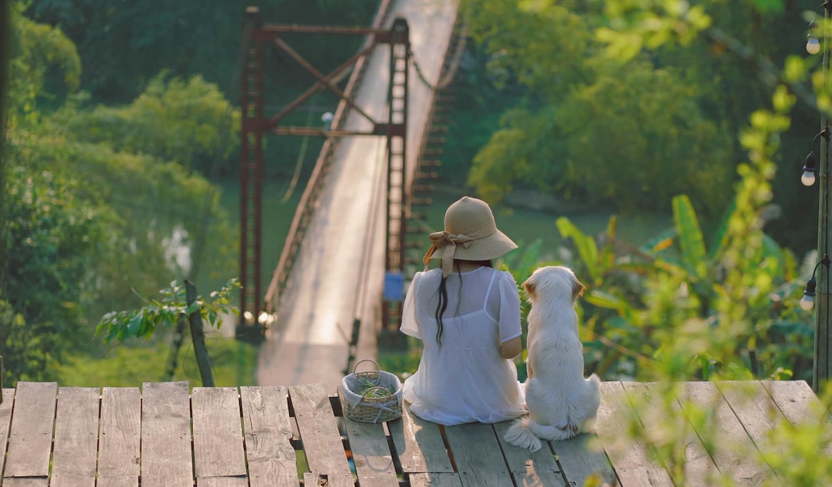 A serene wooden deck is viewed, with a person wearing a sun hat seated alongside a dog. The background showcases a bridge crossing over water, surrounded by lush greenery, creating a peaceful scene that emphasizes nature's beauty.