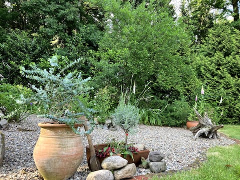 House in the countryside