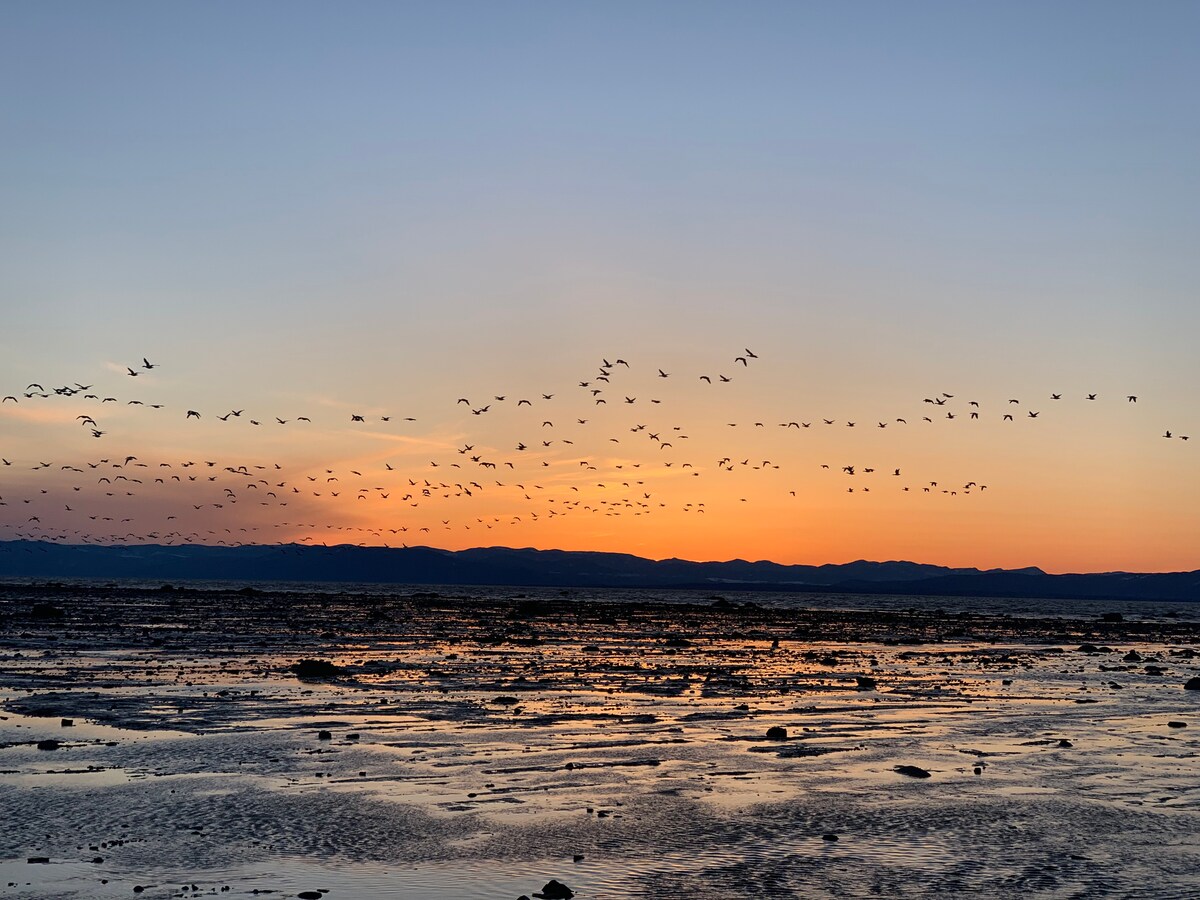 A serene sunset scene captures a flock of birds in flight against a vibrant sky, transitioning from orange to soft twilight tones. The water's surface reflects the colors, while distant mountains form a gentle silhouette on the horizon.