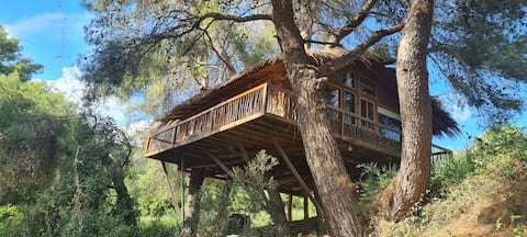 Treehouse Greece Family