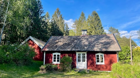 Lovely Swedish wilderness