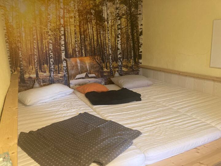 Ferienwohnung “Waldfrieden” - Bad Wildungen
