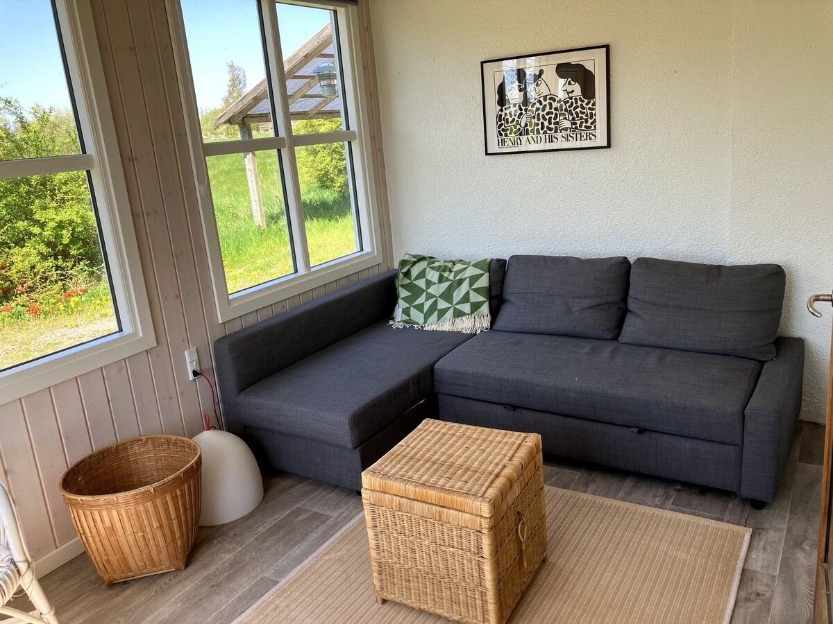 Გასაშლელი დივანი, 2 ადამიანი