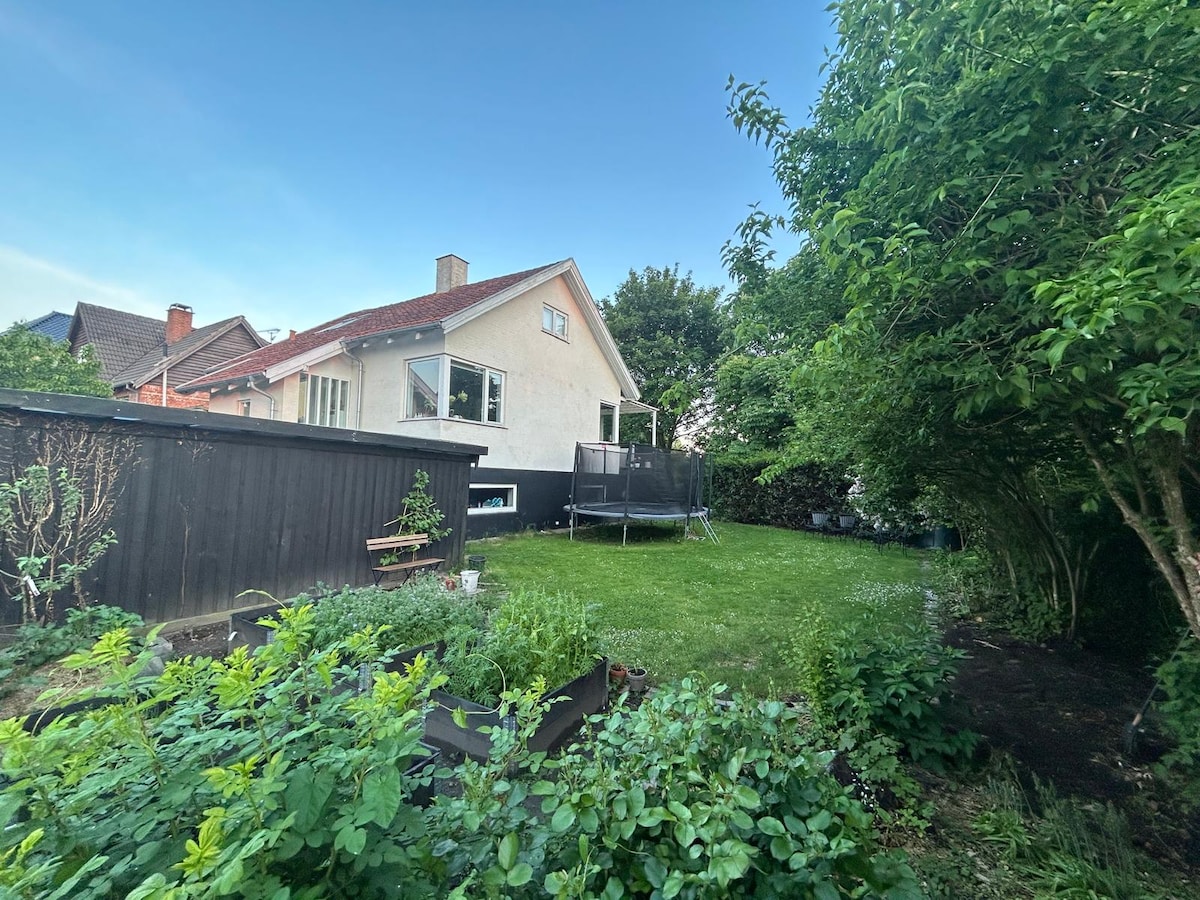 The image presents a spacious backyard surrounded by lush green plants and trees. A trampoline is visible amidst the grassy area, and the house is shown from the rear, highlighting large windows that invite natural light. The corner of the garden features organized planting beds.
