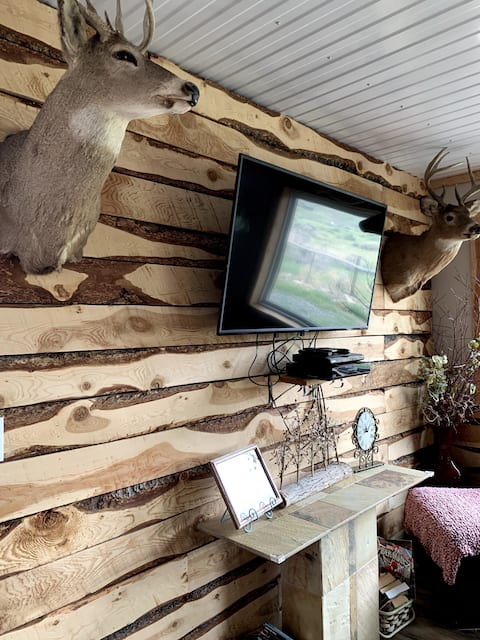 Successful Airbnb property: 360 views & 32mi. to Yellowstone in Cody / Yellowstone