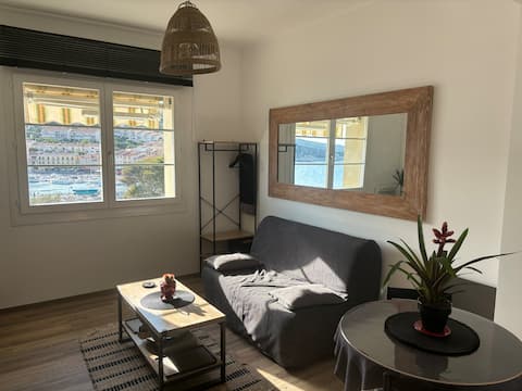 Successful Airbnb property: Cassis rental facing the sea and port in Cassis