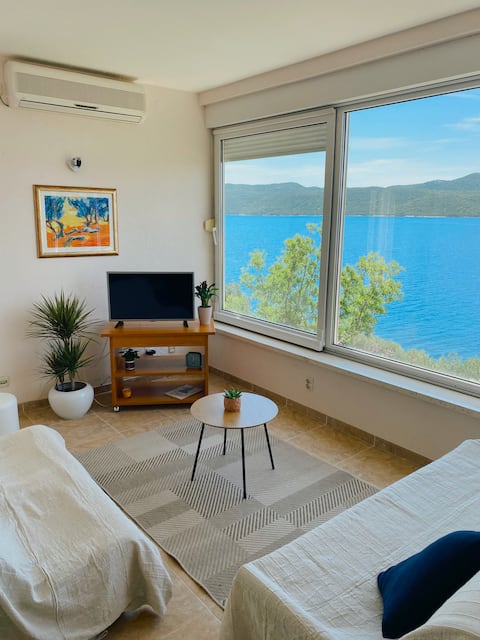 Popular Airbnb listing: Kia apartment place Ratac in šipanska Luka