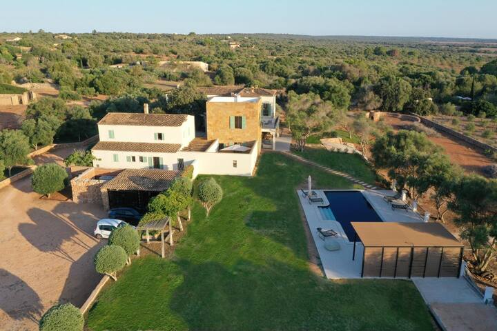 Luxury Dream Finca at Ses Salines gallery image 3