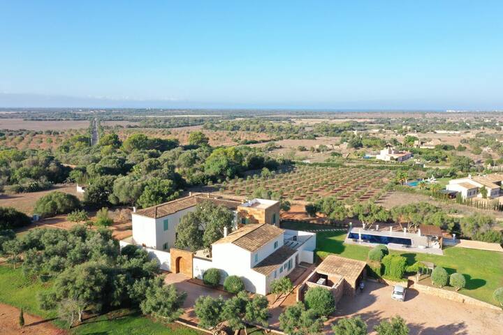 Luxury Dream Finca at Ses Salines gallery image 4