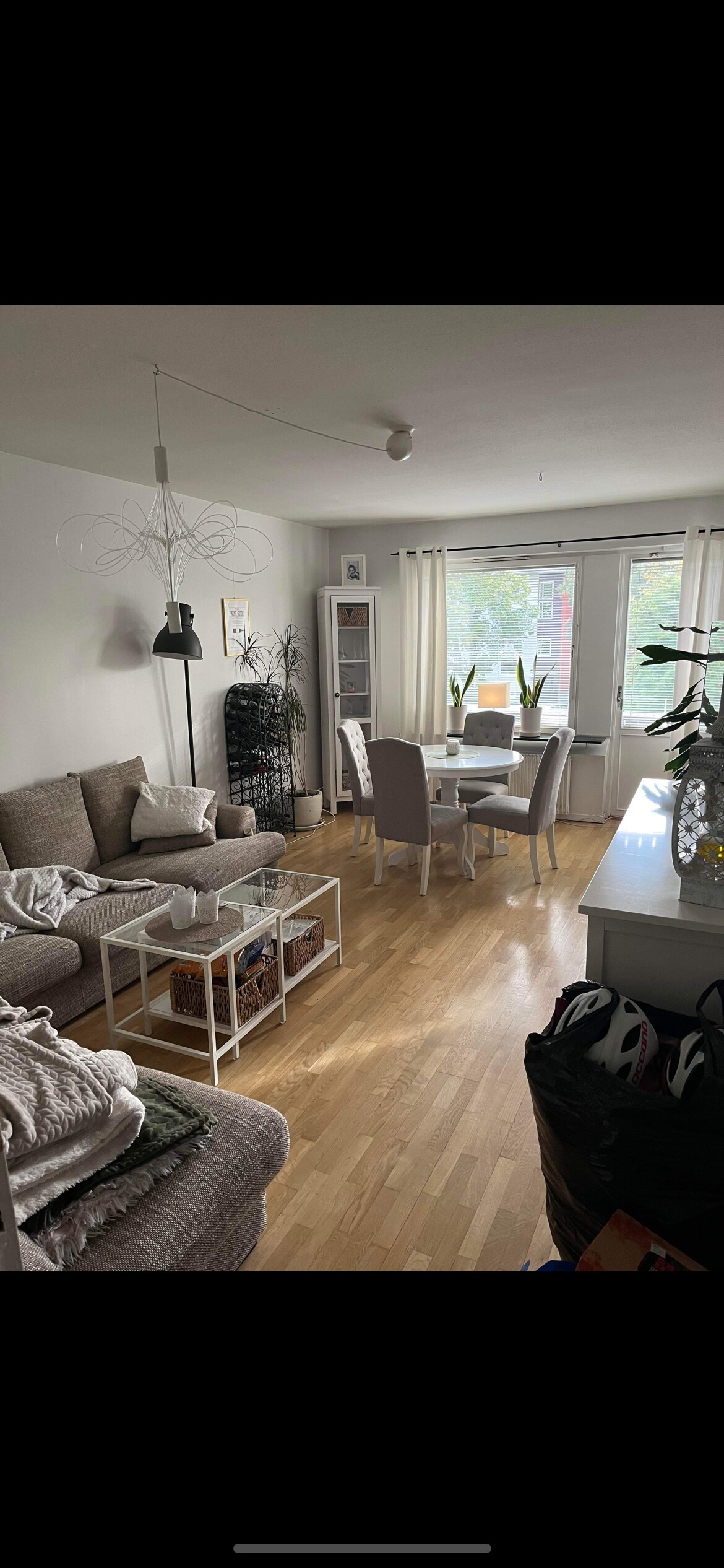 A bright living area features a spacious sofa with decorative cushions and a coffee table. A dining table with chairs is positioned beside a window, allowing natural light to enter. Houseplants add a touch of greenery, complementing the light wood flooring.