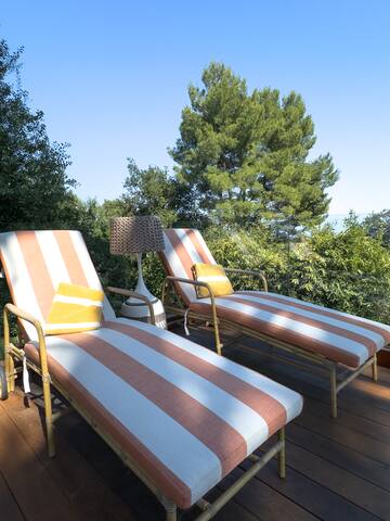 A Classic Mid-Century Modern Canyon Beauty gallery image 5