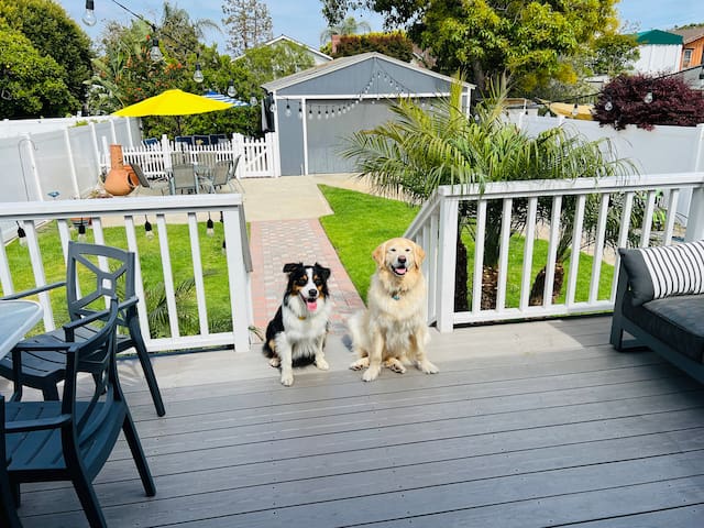 1912 Beach House Pet Friendly