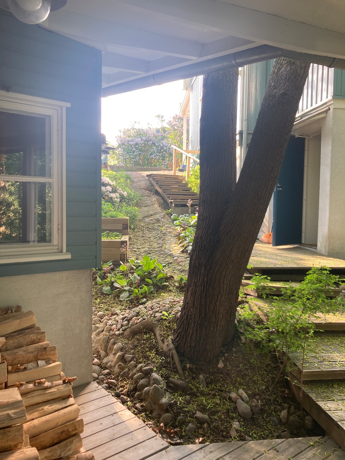 A serene pathway leads toward a lush garden area, framed by a large tree and bordered by rocks. Wooden steps ascend gently in the background, inviting exploration. Nearby, stacked firewood rests against the house, adding a rustic touch to the peaceful surroundings.