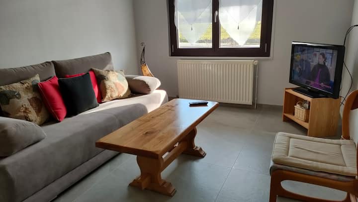 Appartement Individuel Dans Une Maison. - Évian-les-Bains
