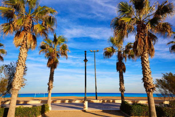 Two rows of tall palm trees frame a scenic beachfront view, with soft sand leading to the ocean. A pathway is visible, along with street lamps and clear blue skies enhancing the coastal atmosphere.