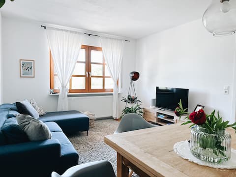 Erfolgreiche Airbnb-Immobilie: Apartment mit Panorama in Ortenaukreis