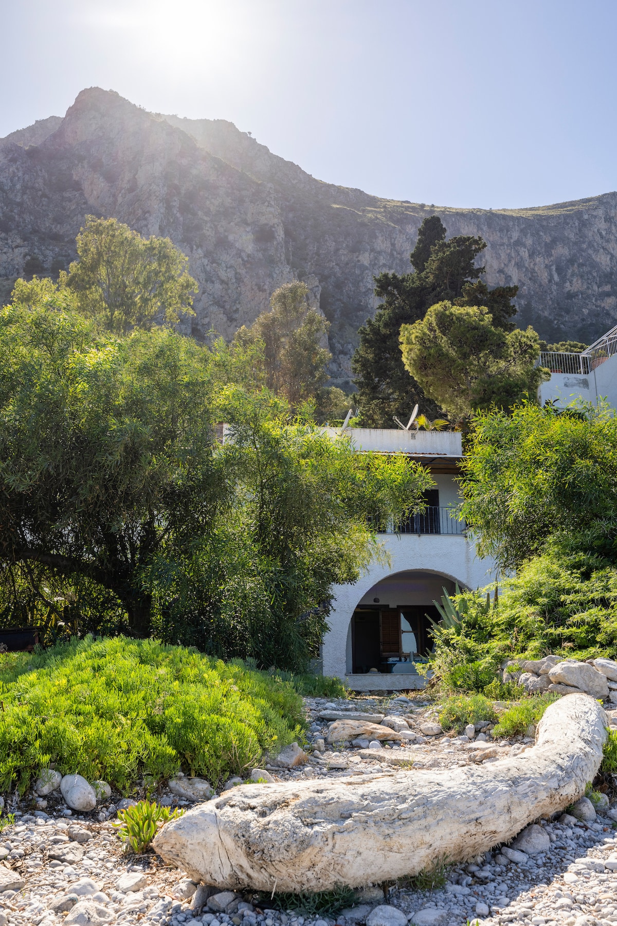 A hillside view features a charming white building nestled among lush greenery, with a rocky path leading to the entrance. The backdrop showcases a towering mountain, while sunlight filters through the trees, creating a serene outdoor atmosphere.