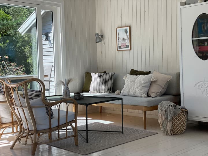 תמונה מעודכנת מאזור הספה עם ריהוט חדש.