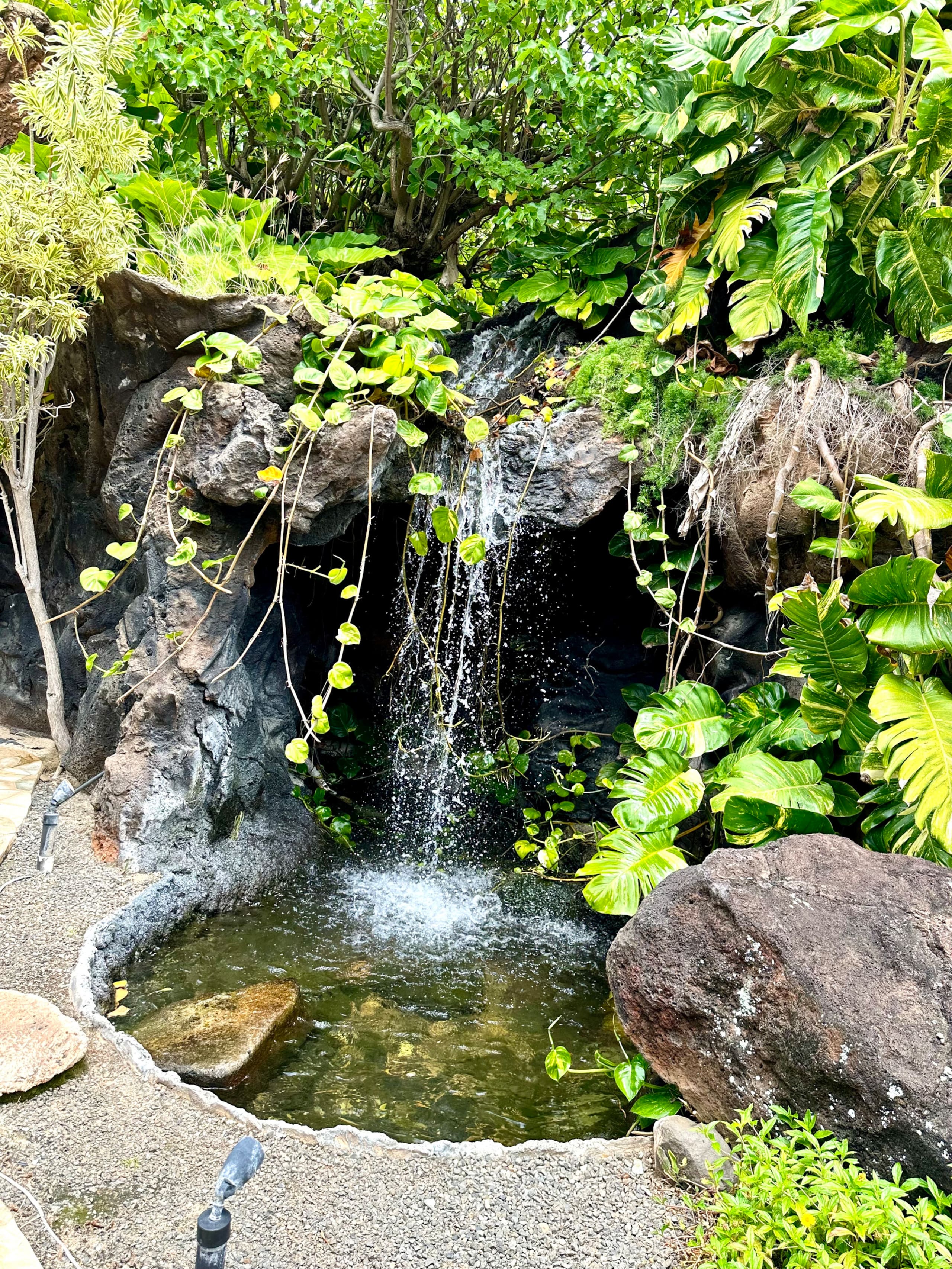 Resort in Lihue · ★4.69 · 1 bedroom · 2 beds · 1 private bath - Image 63