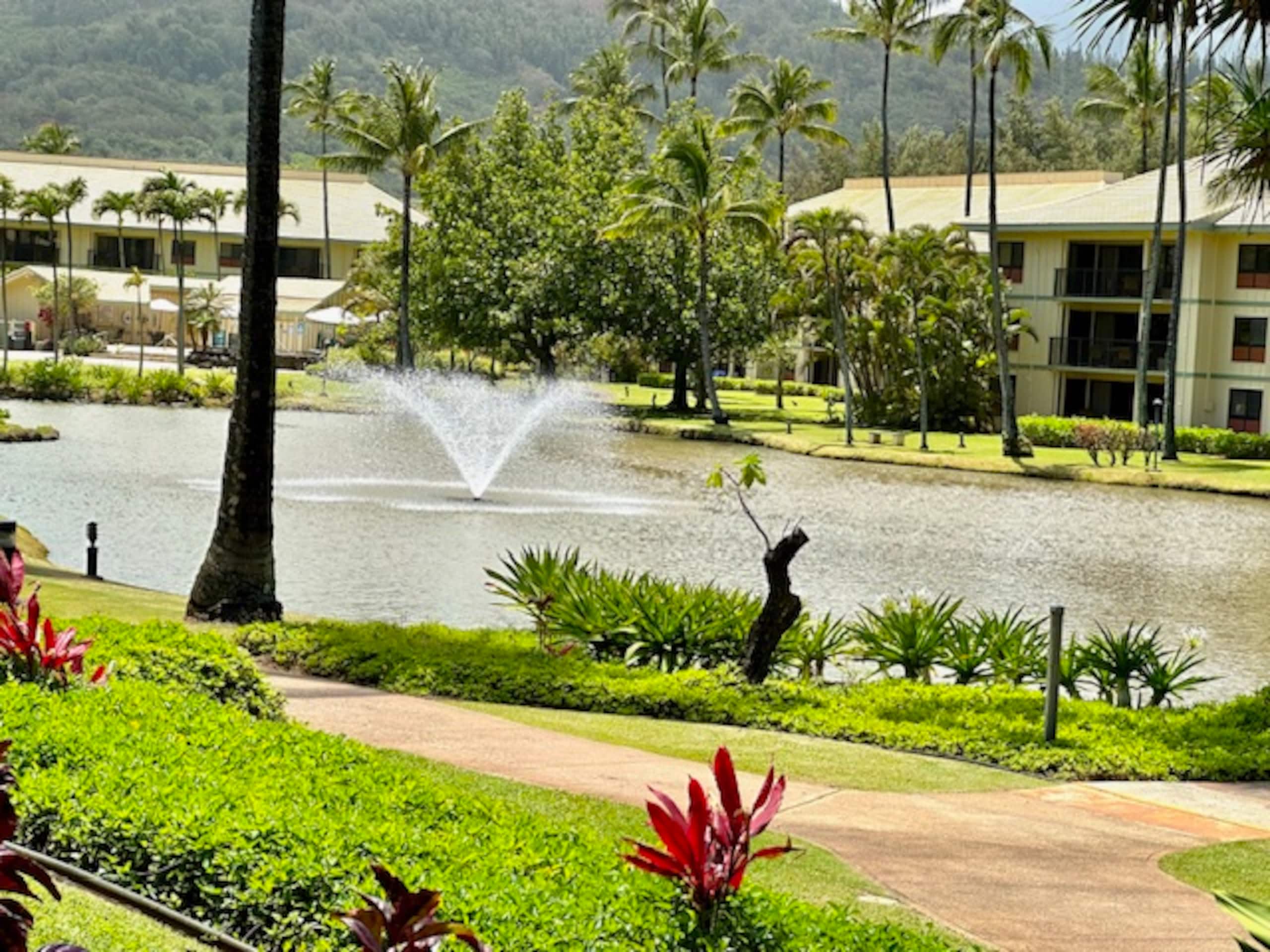 Resort in Lihue · ★4.69 · 1 bedroom · 2 beds · 1 private bath - Image 59