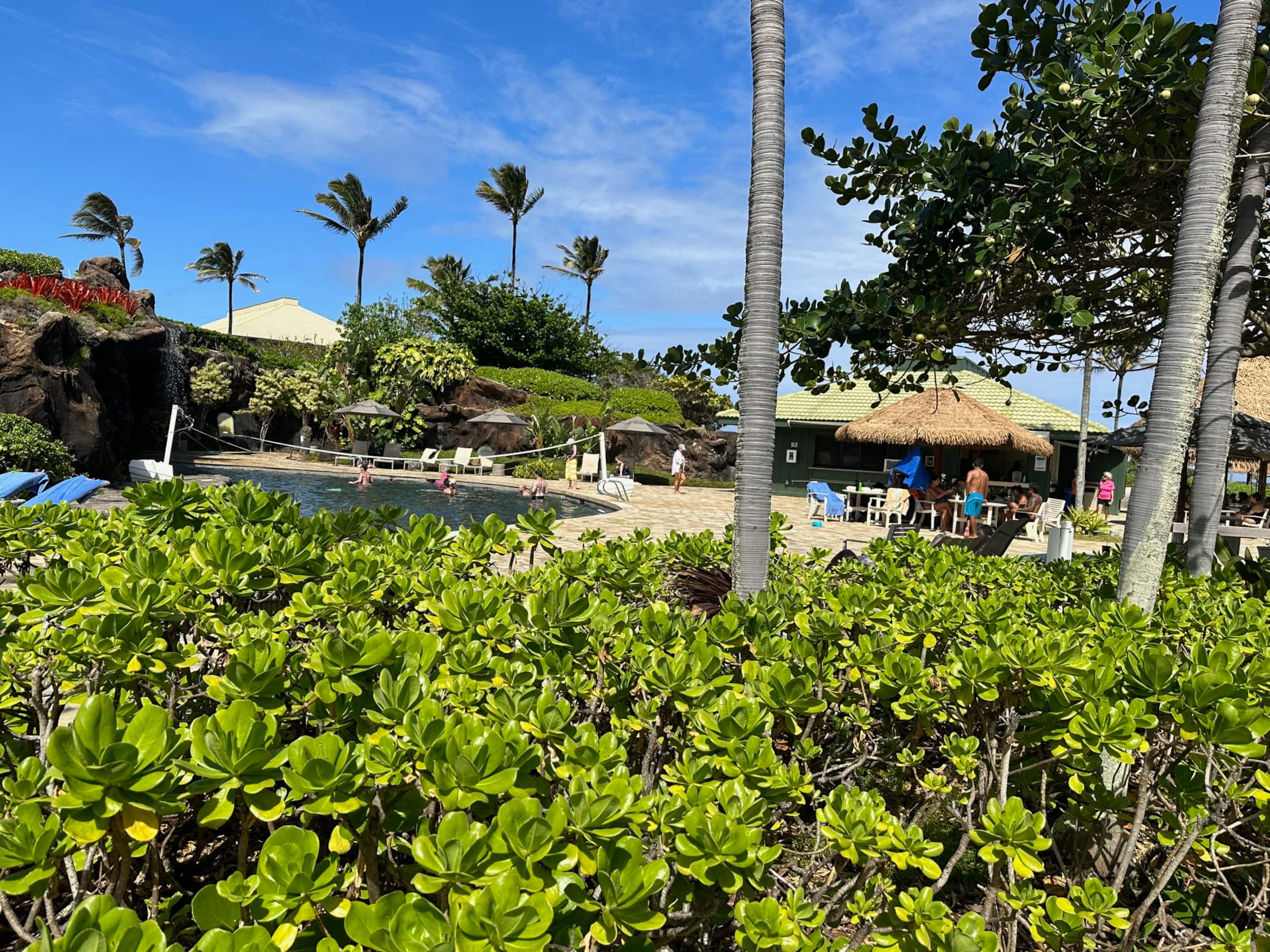 Resort in Lihue · ★4.69 · 1 bedroom · 2 beds · 1 private bath - Image 83