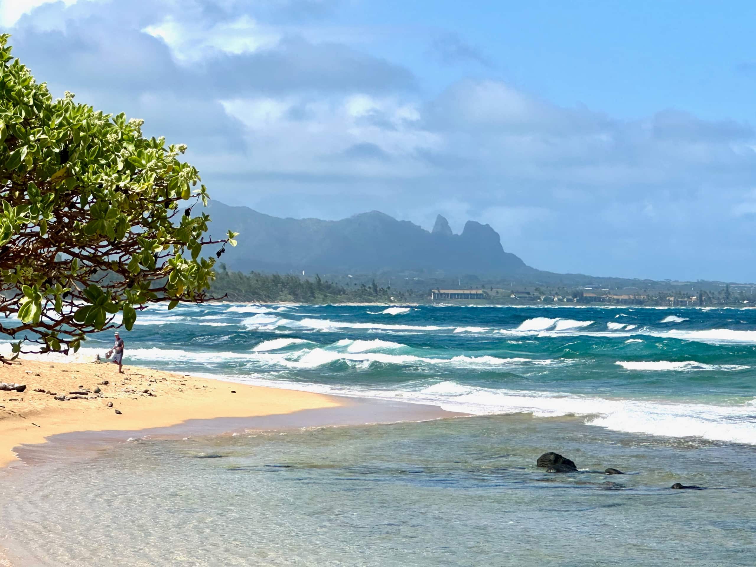 Resort in Lihue · ★4.69 · 1 bedroom · 2 beds · 1 private bath - Image 26
