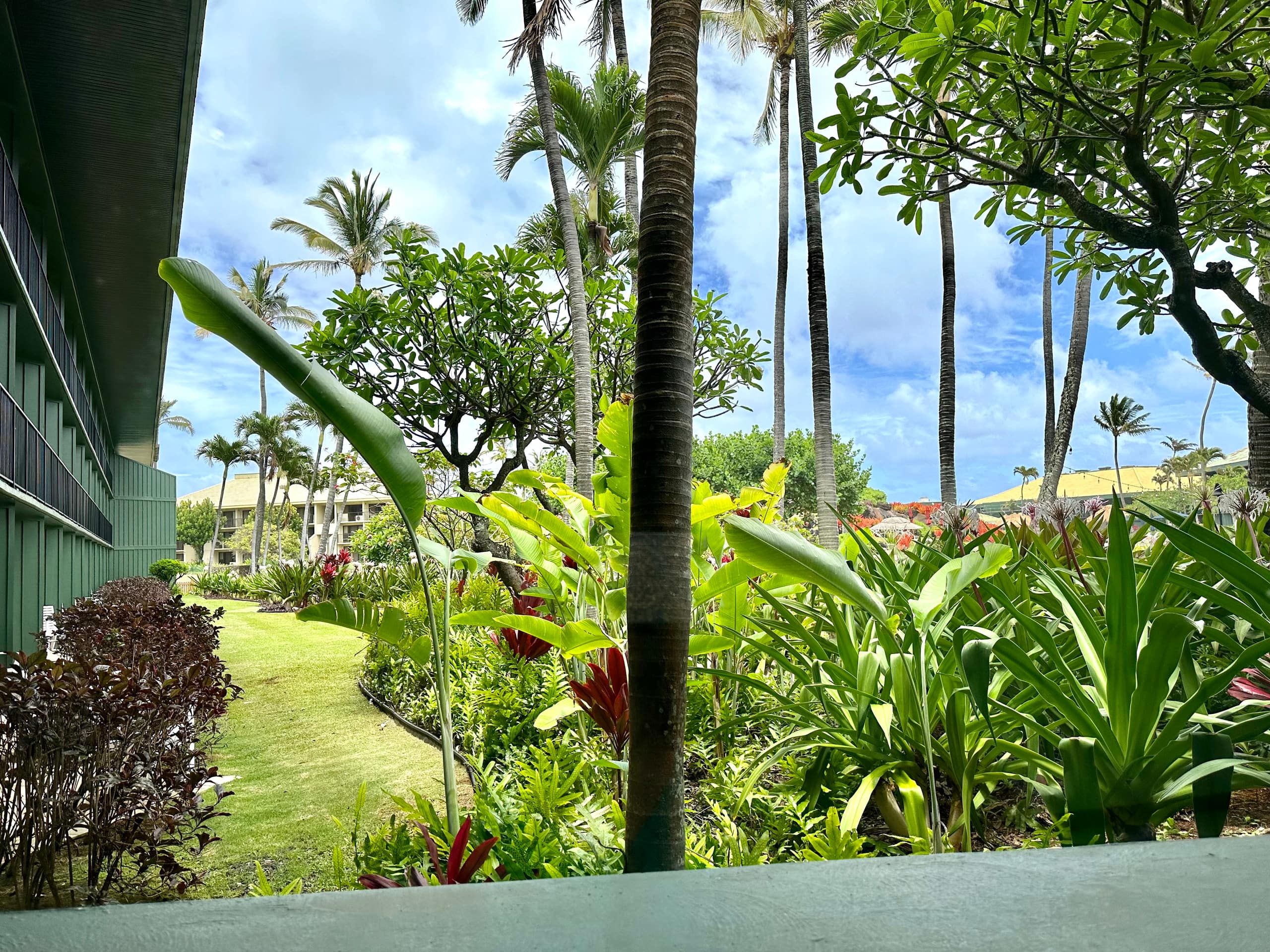 Resort in Lihue · ★4.69 · 1 bedroom · 2 beds · 1 private bath - Image 65