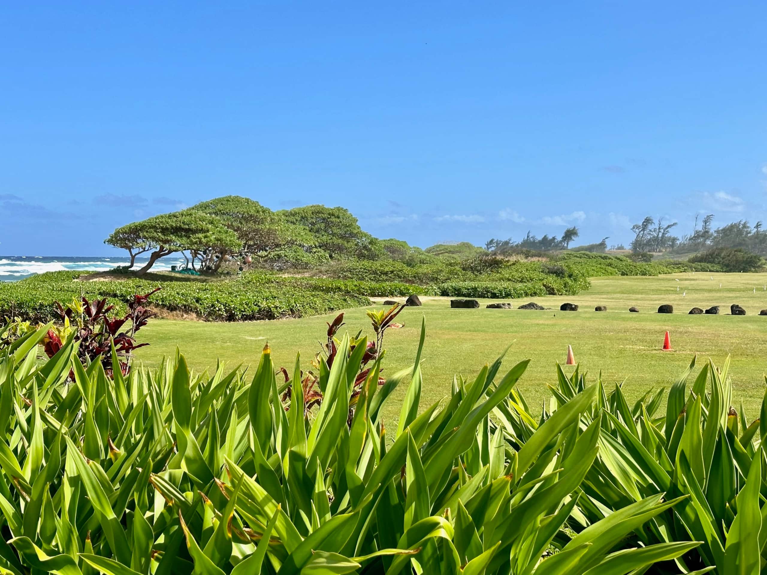 Resort in Lihue · ★4.69 · 1 bedroom · 2 beds · 1 private bath - Image 74