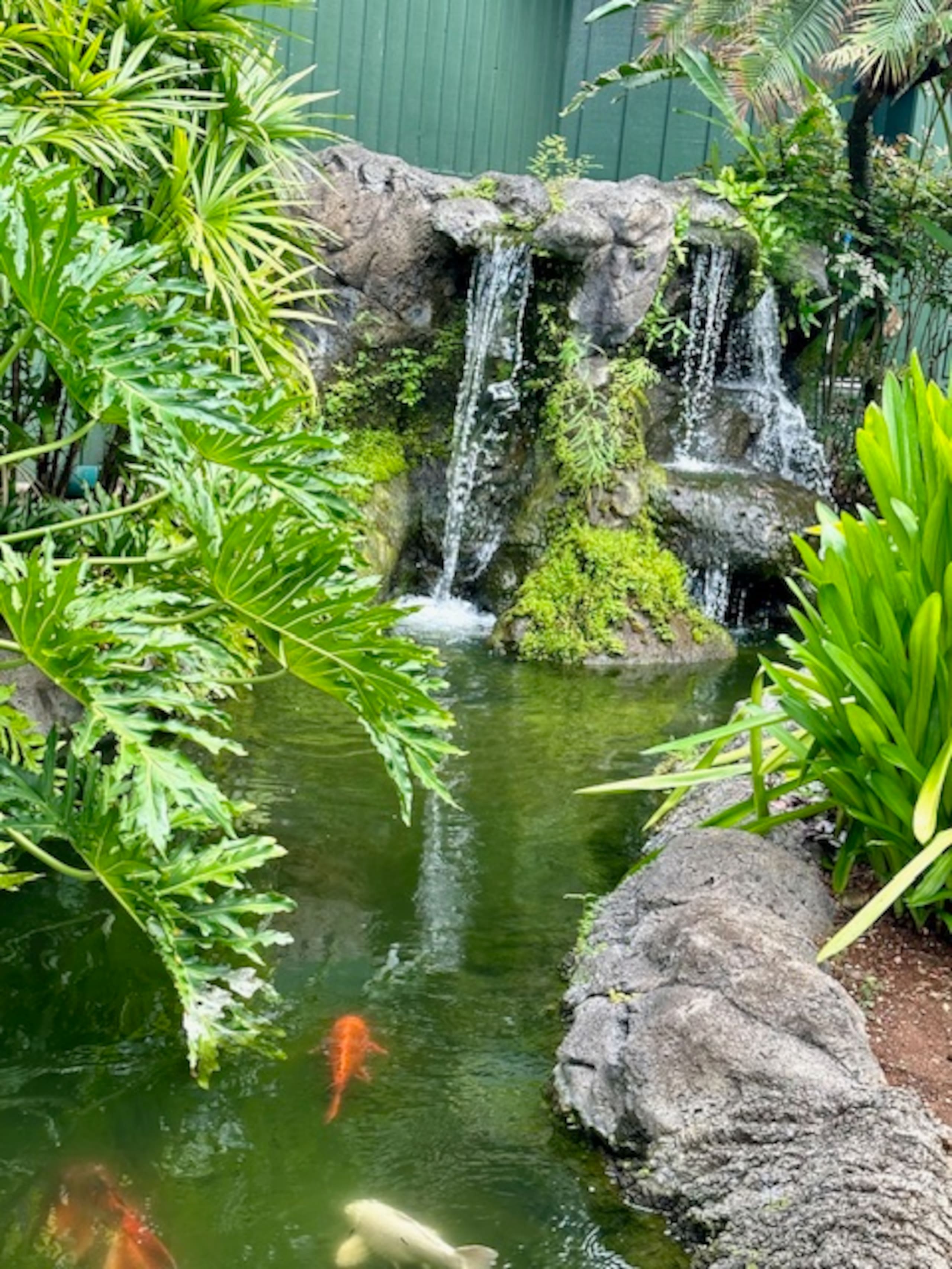 Resort in Lihue · ★4.69 · 1 bedroom · 2 beds · 1 private bath - Image 37