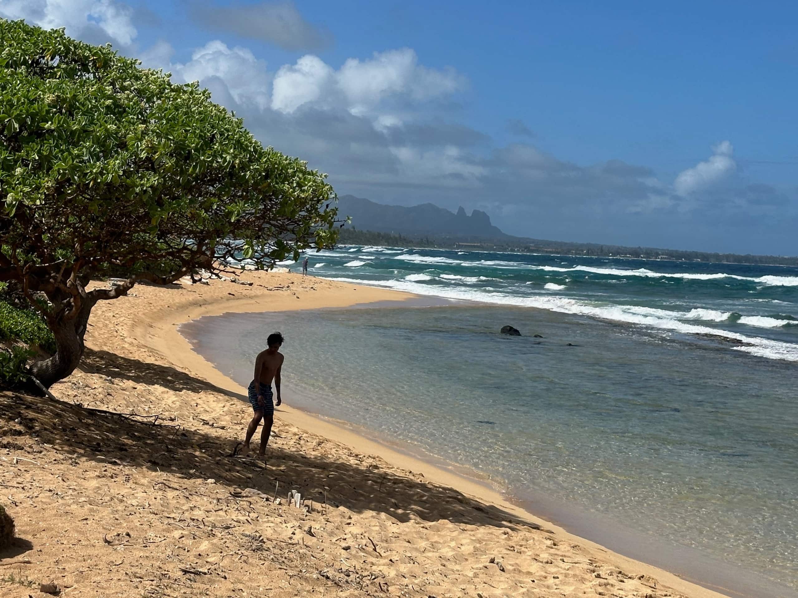 Resort in Lihue · ★4.69 · 1 bedroom · 2 beds · 1 private bath - Image 68
