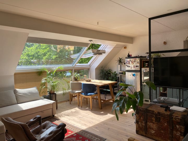 Sunny Apartments In Užupis - Vilnius