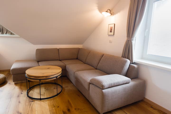 Spacious Apartment With Balcony - Bohinjska Bistrica