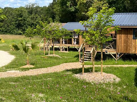 Family Lodge Cabin (29 m² - 2 bdrm - 5 pers.)