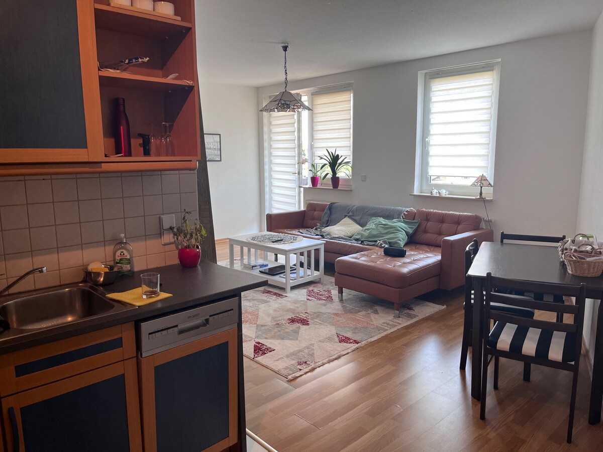 Successful Airbnb property: Modern Studio Oasis in Kleinzschocher